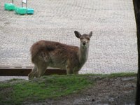 IMG_0647.JPG